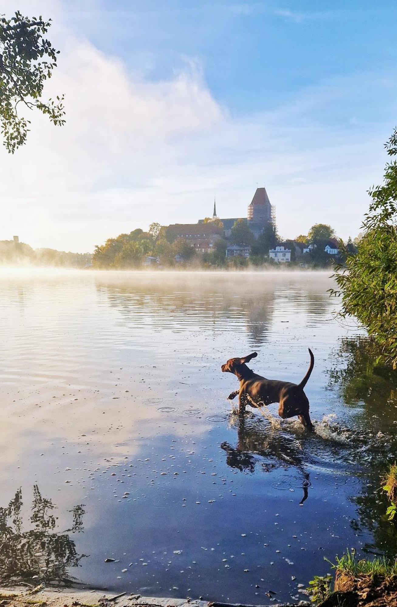 Hotel Am See Roemnitzer Muehle Ratzeburg Buitenkant foto