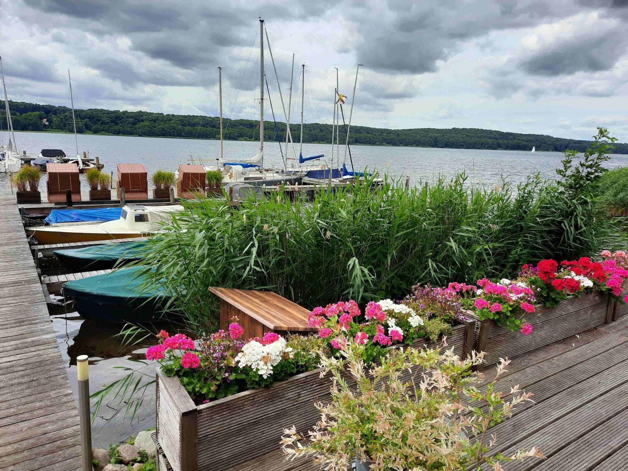 Hotel Am See Roemnitzer Muehle Ratzeburg Buitenkant foto